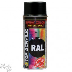اسپری رنگ مشکی مات اکو سرویس 9005 Eco Service RAL Spray Color