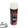اسپری رنگ سفید اکو سرویس 9010 Eco Service RAL Spray Color