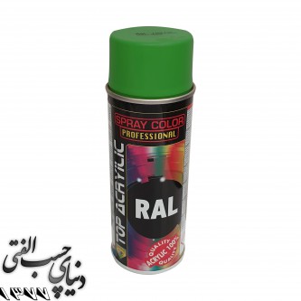 اسپری رنگ سبز تیره اکو سرویس 6005 Eco Service RAL Spray Color
